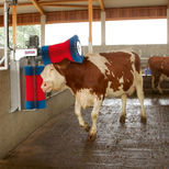 Brosse à vaches HAPPYCOW Duo, avec un système de nettoyage électronique intelligent