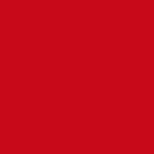 Peinture agricole PROCHI-ROUILLE brillante, Rouge, 1464, STEYR