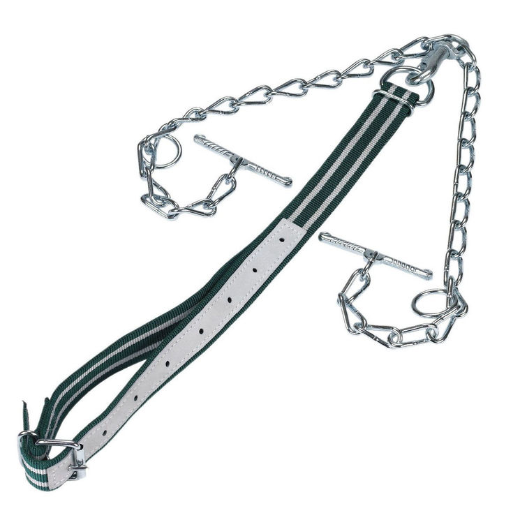 Attache bovin complète avec collier 130x4 cm, chaîne zinguée double avec mousqueton, virole et dispositif d'attache, KERBL