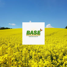 L’agriculture de conservation au cœur de l’association BASE