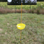 Cuvette jaune détection insectes cultures Flora, piège à insecte, tuteur 1,50 m, kit complet