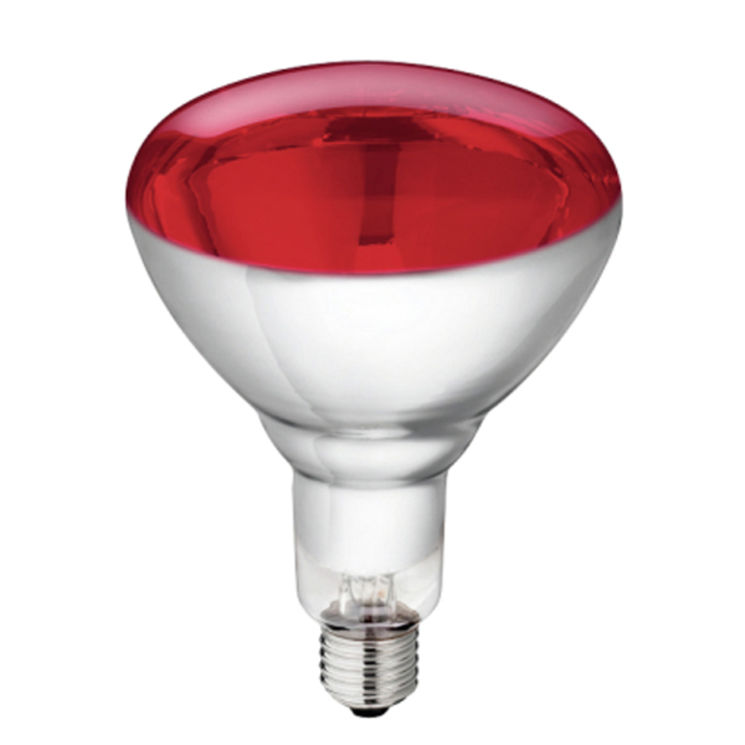 Lampe chauffante infrarouge rouge 250W Phillips, 22314, KERBL