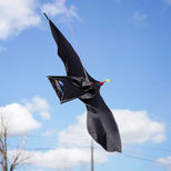 Aigle effaroucheur SPOOKER noir 1,50 mètre polyamide + mât aluminium 4 mètres rotatif