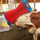 Brosse à vaches HAPPYCOW Uno, avec un système de nettoyage électronique intelligent