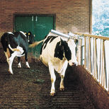 Brosse d'étable à logette pour vaches, VINK