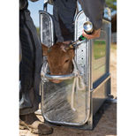 Écorneur à gaz ARKOS pour bovins, EXPRESS Farming, embout 17/19 et 15mm