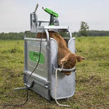 Écorneur électrique Cosmos sur secteur pour bovins, EXPRESS Farming