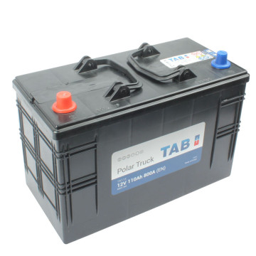 Batterie agricole 12 volts 110 ampères, 800 ampères au démarrage