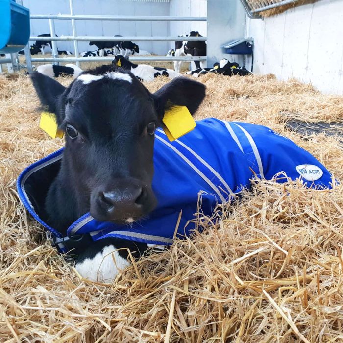 Couverture pour veau, de petit à grand modèle, JFC AGRI