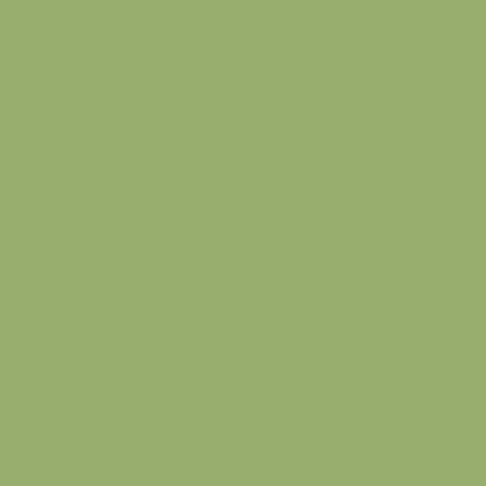 Peinture agricole collection PROCHI-ROUILLE, Vert, 1809, BAUTZ