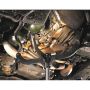 Cric de fosse 525 Kg pour boîte de vitesse, hauteur maxi 2020 mm, piston Ø30 mm, COMPAC
