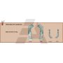 Lame de fraise droite 185x80x7 mm, pour rotavator Kuhn, 51937000, pièce interchangeable
