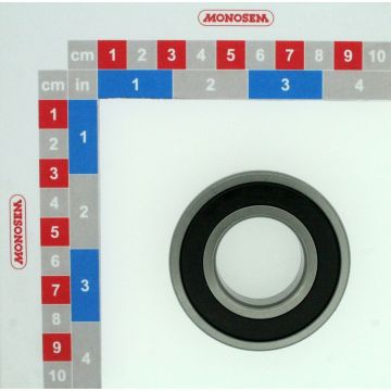 Roulement a billes, 10161000R, RIBOULEAU MONOSEM, pièce origine