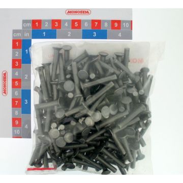 1 Kg de rivets tf 5 - 31, 10176002K, RIBOULEAU MONOSEM, pièce origine