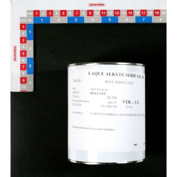 Resinol / peinture bleu monosem, 10190010, RIBOULEAU MONOSEM, pièce origine