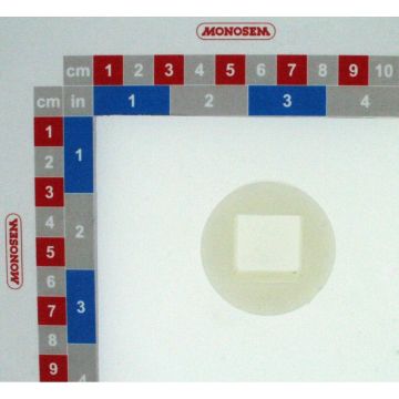 Bague palier plastique, 10200010, RIBOULEAU MONOSEM, pièce origine