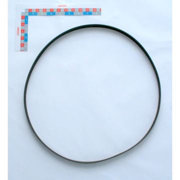 Courroie 1168 pj8 ej151 monosem, 10219102, RIBOULEAU MONOSEM, pièce origine