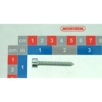 Vis chc 5, 5x38 a tôle inox, 10591935, RIBOULEAU MONOSEM, pièce origine