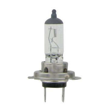 Ampoule H7 12V 55W, CULOT PX26D, LUMI TRACK