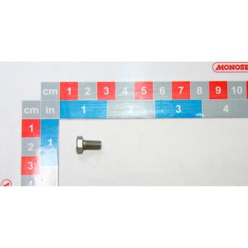 Vis h m5x10 inox, 30500060, RIBOULEAU MONOSEM, pièce origine