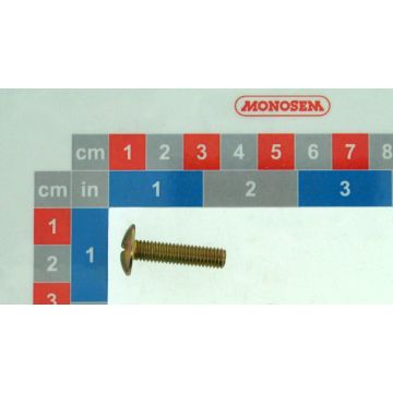 Vis poelier trl m6x25 inox, 30530096, RIBOULEAU MONOSEM, pièce origine