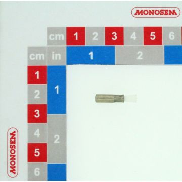 Brosse boit. meca 2000 s.0667, 65012126, RIBOULEAU MONOSEM, pièce origine