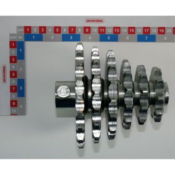 Pignon multiple 10 - 11 - 13 - 17 - 19 - 21 dents, 66002549, RIBOULEAU MONOSEM, pièce origine