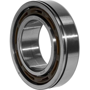 Roulement, SL 6209.N, D.80x45mm, pièce interchangeable