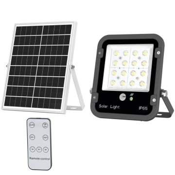 Projecteur solaire LED 2000 lumens 13,5W avec télécommande, panneau déporté, DRAKKAR